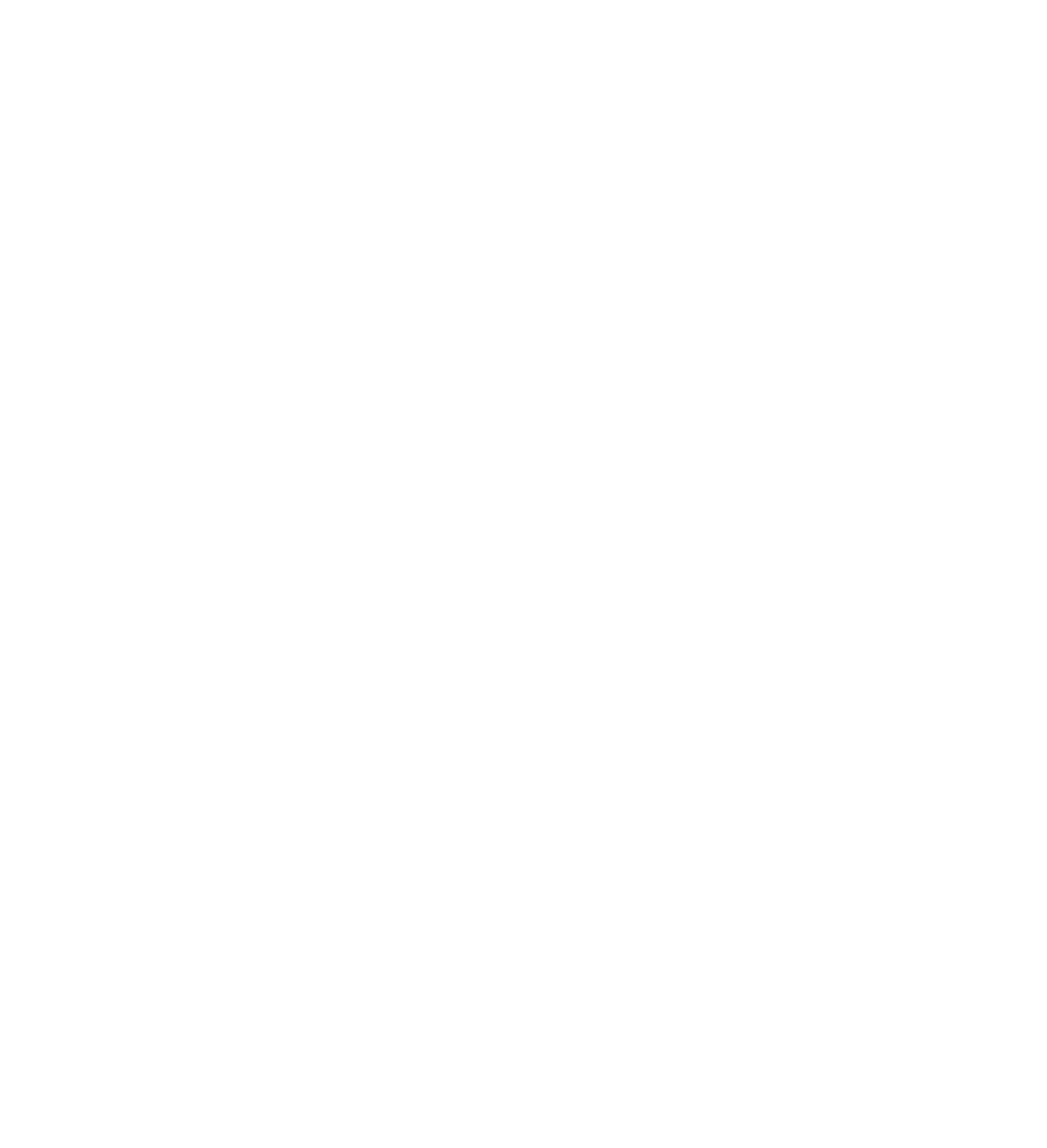 InkHouse Tattoo Studio Ticino - Karajčić Mirjana